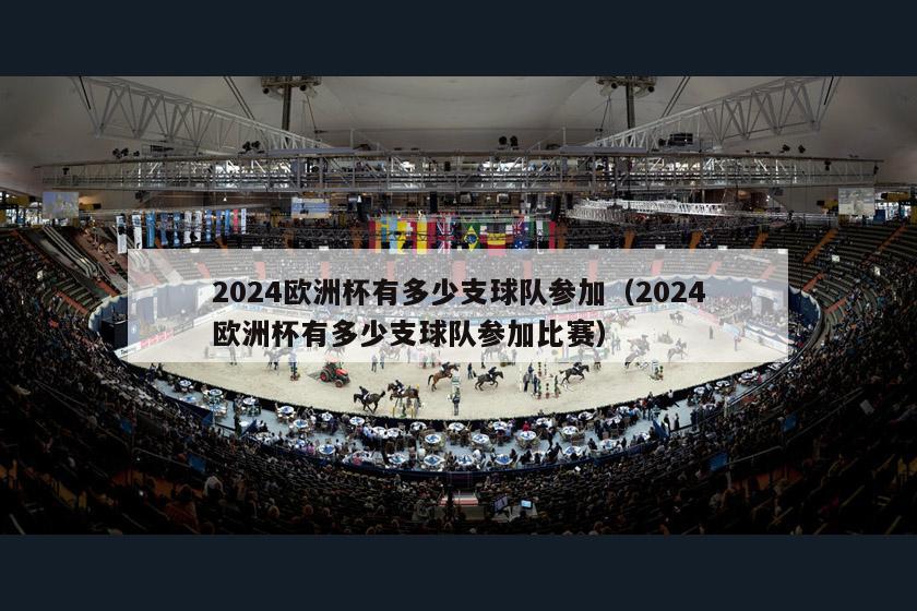 2024欧洲杯有多少支球队参加（2024欧洲杯有多少支球队参加比赛）