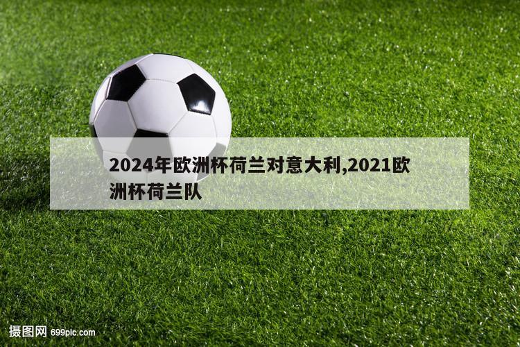 2024年欧洲杯荷兰对意大利,2021欧洲杯荷兰队